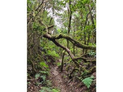 Holiday house Casa Monica - Environment photo 33