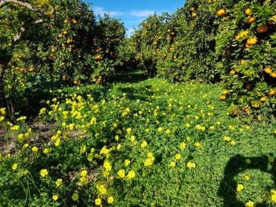 Villa Casa Katta (non-smoking holiday home) - Outdoor photo 17