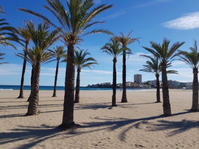 Villa Casa Katta (non-smoking holiday home) - Outdoor photo 18