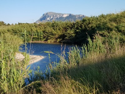 Villa Casa Katta (non-smoking holiday home) - Environment photo 37