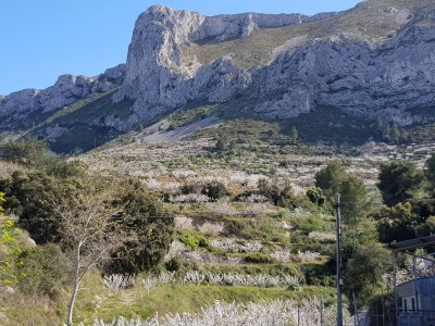 Villa Casa Katta (non-smoking holiday home) - Environment photo 38