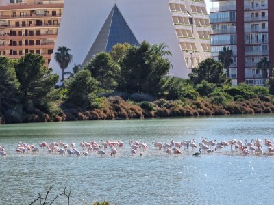 Villa Casa Katta (non-smoking holiday home) - Environment photo 39