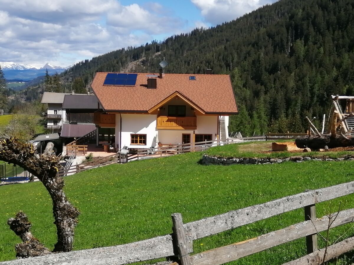 Holiday apartment Sonnenblume-OberbÃ¼hl - Outdoor photo 3