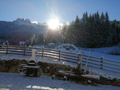 Holiday apartment Sonnenblume-OberbÃ¼hl - Outdoor photo 11