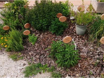 Holiday apartment Sonnenblume-OberbÃ¼hl - Outdoor photo 14