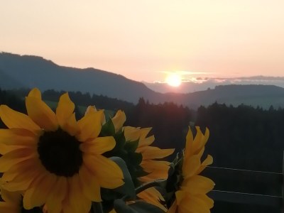 Holiday apartment Sonnenblume-OberbÃ¼hl - Outdoor photo 15