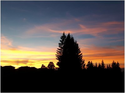 Holiday apartment Sonnenblume-OberbÃ¼hl - Outdoor photo 16