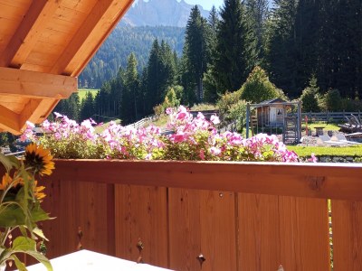 Holiday apartment Sonnenblume-OberbÃ¼hl - Features photo 28