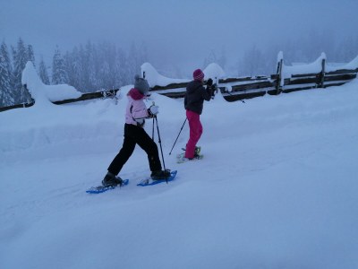 Holiday apartment Sonnenblume-OberbÃ¼hl - Environment photo 31