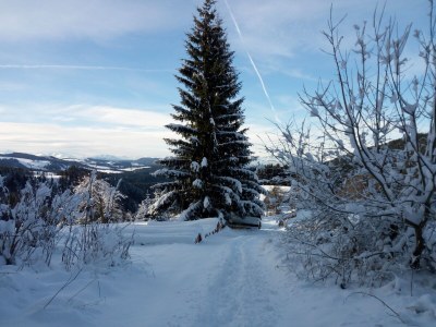 Holiday apartment Sonnenblume-OberbÃ¼hl - Environment photo 33