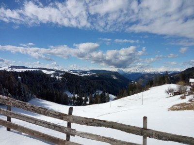 Holiday apartment Sonnenblume-OberbÃ¼hl - Environment photo 34