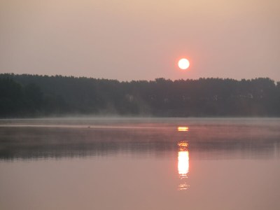 Holiday apartment Ferienwohnung Seewiese - Environment photo 21