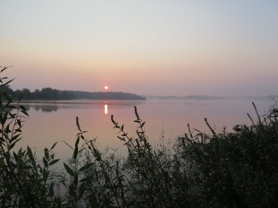 Holiday apartment Ferienwohnung Seewiese - Environment photo 22