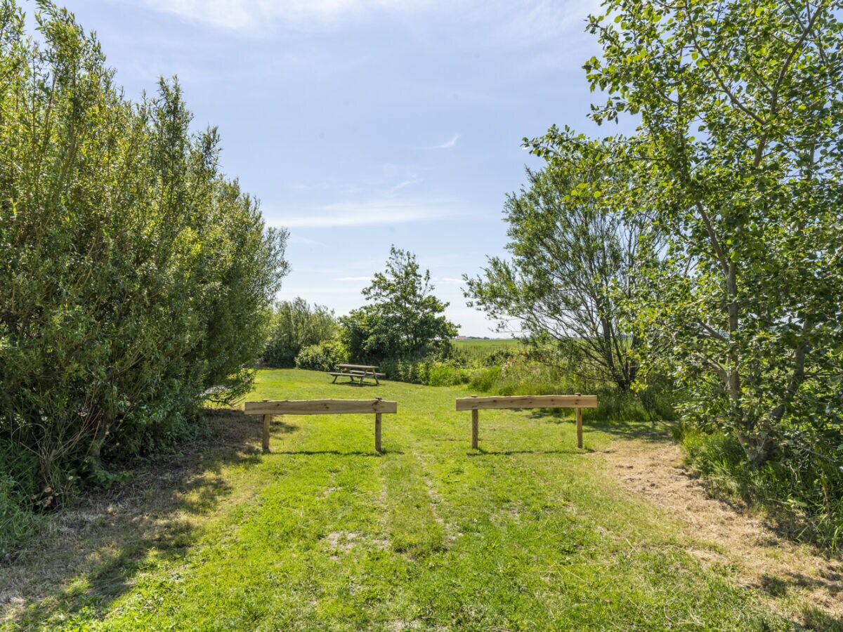 Holiday house Zeewinde - Outdoor photo 4