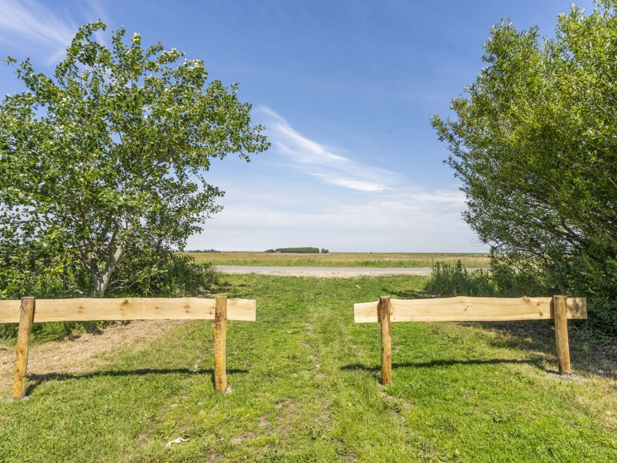 Holiday house Zeewinde - Outdoor photo 5