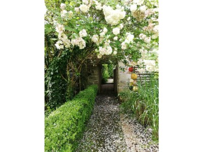 Holiday house 690-Charming villa in a lush garden - Outdoor photo 6