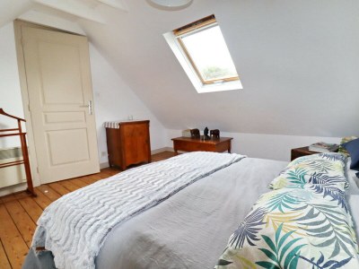 Holiday house 690-Charming villa in a lush garden - Features photo 15