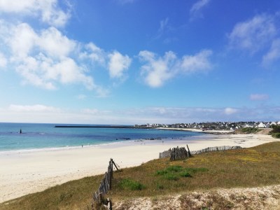 Holiday house 690-Charming villa in a lush garden - Environment photo 23