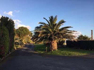 Villa 688-Villa de la Baie, sea view, 300m from the beach - Environment photo 28