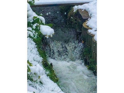 Holiday apartment Zur Sonne - Outdoor photo 12