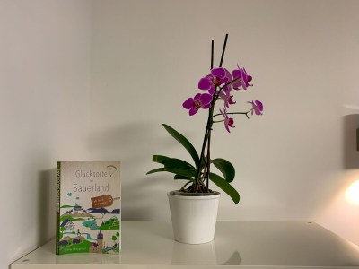 Holiday apartment Zur Sonne - Features photo 20