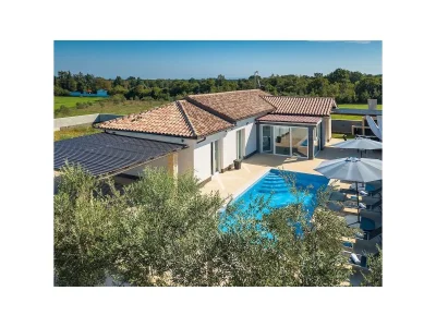 Holiday house Villa Miracle in Sisan - Holiday house