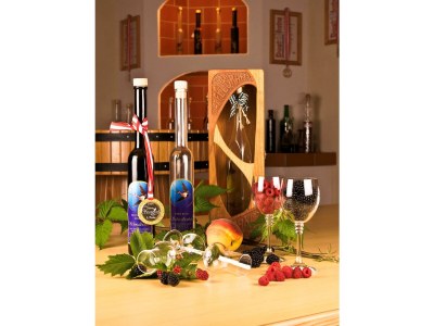 Holiday apartment Adlerhorst - Farm Schwalbenhof - Environment photo 15