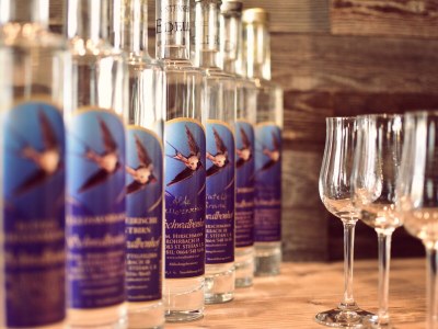 Holiday apartment Adlerhorst - Farm Schwalbenhof - Environment photo 16