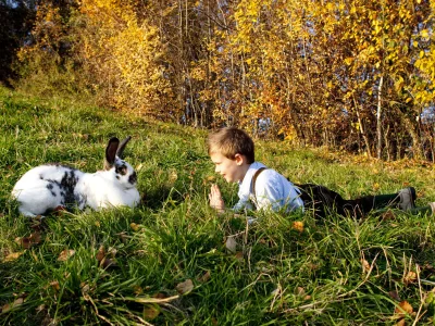 Holiday apartment Adlerhorst - Farm Schwalbenhof - Environment photo 22