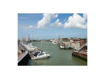 Holiday apartment House North Sea - Outdoor photo 4