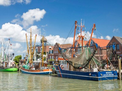 Holiday apartment House North Sea - Outdoor photo 5