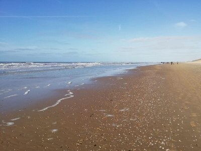 Holiday apartment Duynparel - Environment photo 21