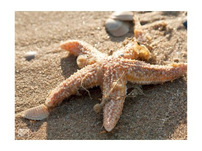 Holiday apartment Duynparel - Environment photo 22