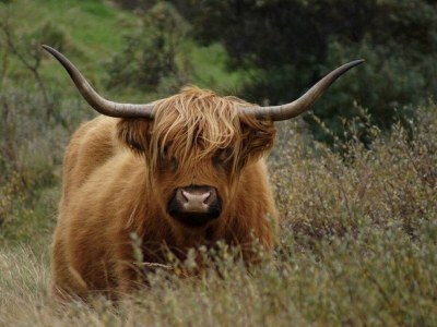 Holiday apartment Duynparel - Environment photo 28