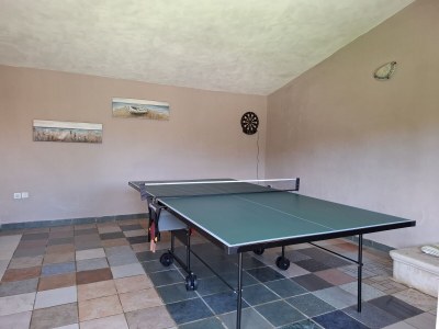 Villa Wonderful Villa Prisedi with Private Pool - Environment photo 38