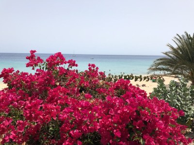 Bungalow Casa Jandia 2 - Environment photo 37