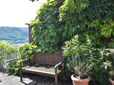 Holiday house Rebenhang - Outdoor photo 9