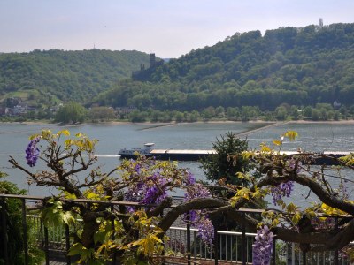 Holiday house Rebenhang - Outdoor photo 10