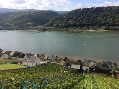 Holiday house Rebenhang - Outdoor photo 12