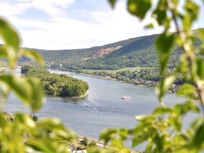 Holiday house Rebenhang - Environment photo 38