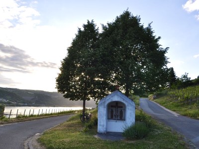 Holiday house Rebenhang - Environment photo 39