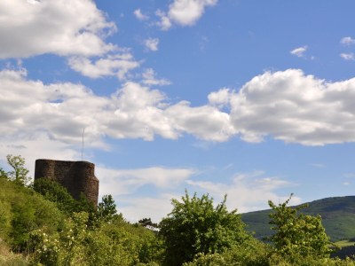 Holiday house Rebenhang - Environment photo 40