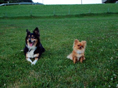 Holiday apartment Zirbe - Environment photo 32