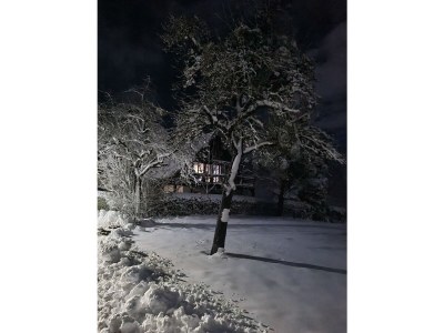 Holiday apartment Haus an den Auwiesen - Outdoor photo 10