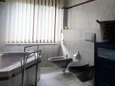 Holiday apartment Haus an den Auwiesen - Features photo 25