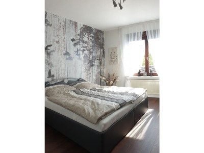 Holiday apartment Haus an den Auwiesen - Features photo 28