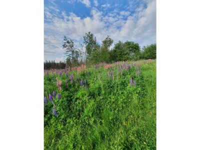 Holiday house No title - Environment photo 29