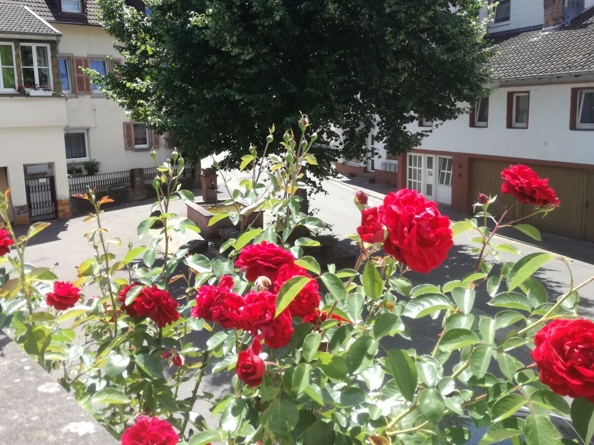 Holiday apartment MR apartment - Outdoor photo 3