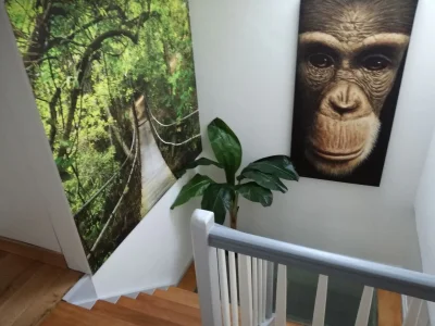 Holiday apartment MR apartment - Features photo 10