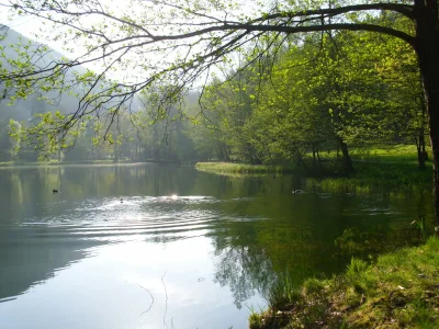 Holiday apartment MR apartment - Environment photo 31